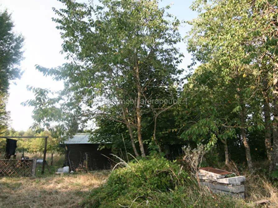 Immagine 12 di Rustico / casale in vendita  a Abbadia San Salvatore