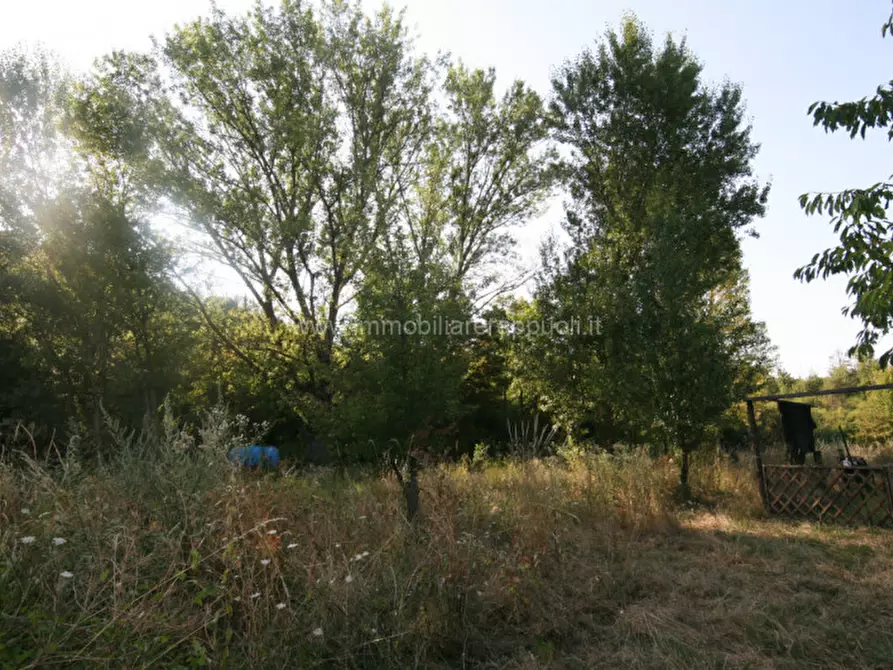 Immagine 13 di Rustico / casale in vendita  a Abbadia San Salvatore