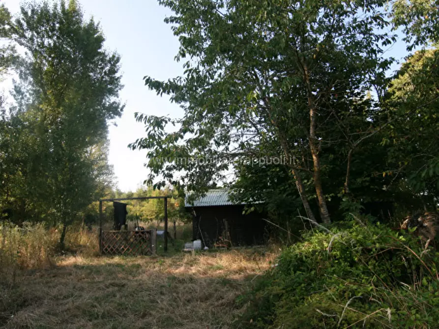 Immagine 14 di Rustico / casale in vendita  a Abbadia San Salvatore