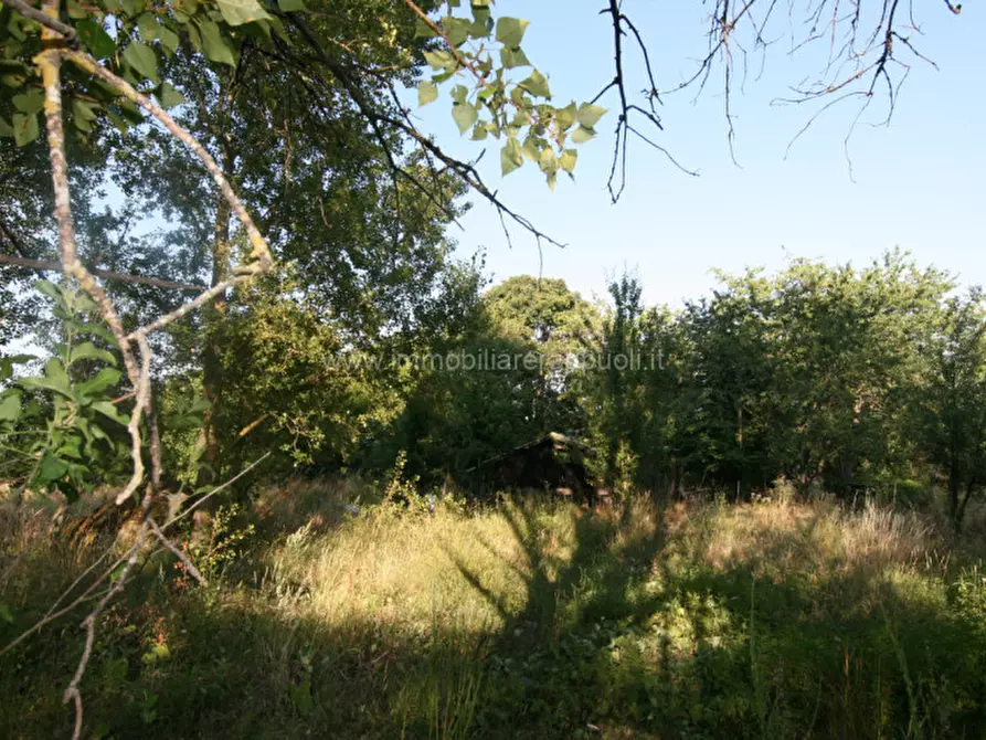 Immagine 15 di Rustico / casale in vendita  a Abbadia San Salvatore