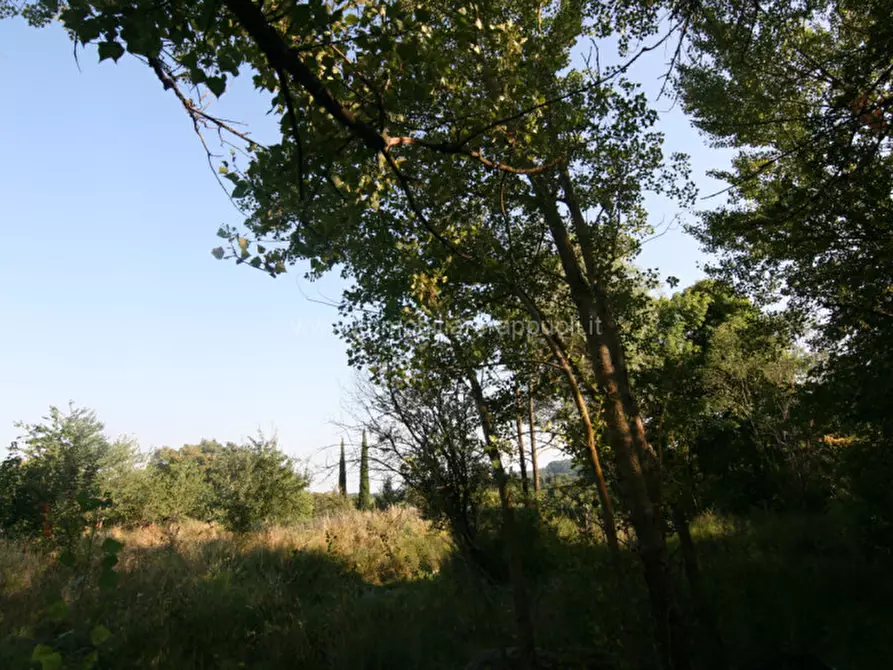 Immagine 16 di Rustico / casale in vendita  a Abbadia San Salvatore