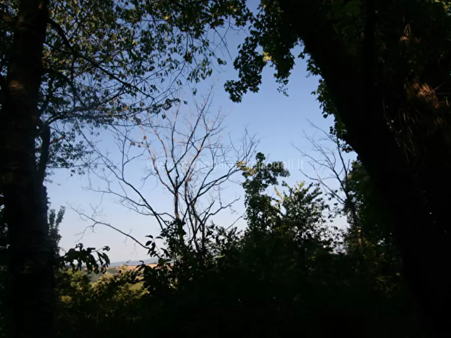 Immagine 18 di Rustico / casale in vendita  a Abbadia San Salvatore