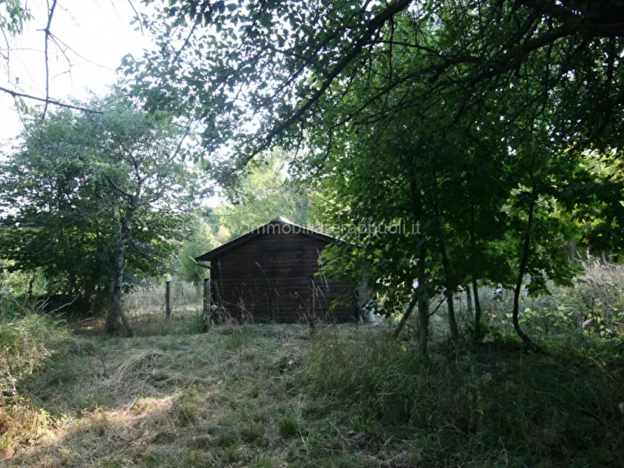Immagine 20 di Rustico / casale in vendita  a Abbadia San Salvatore
