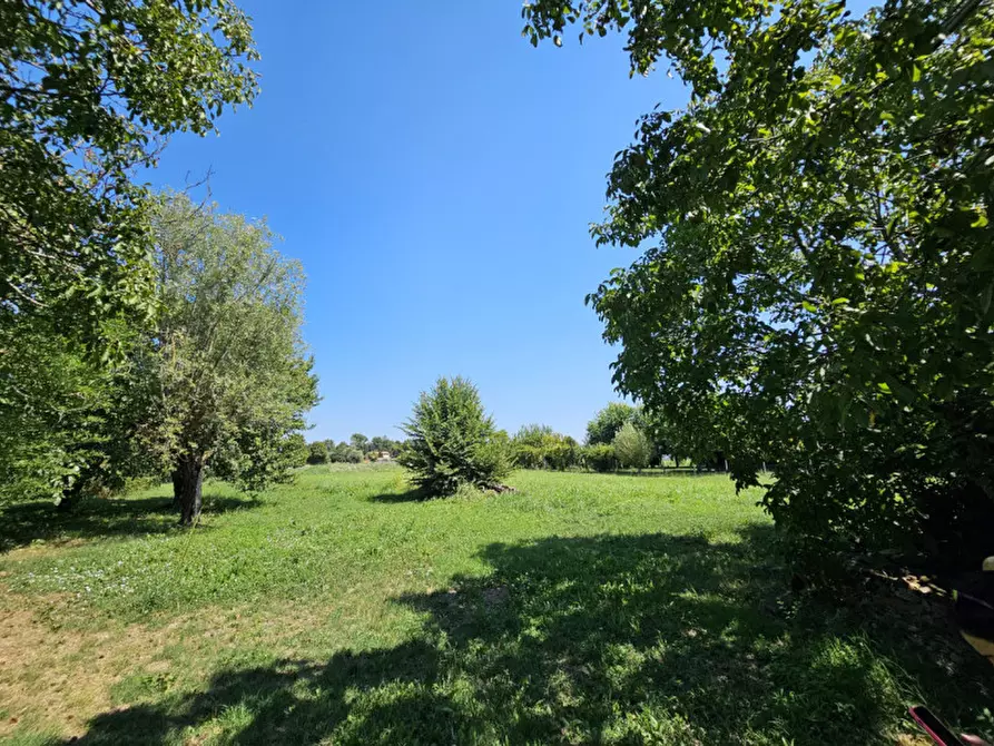 Immagine 19 di Casa indipendente in vendita  in VIA CIMITERO a Megliadino San Vitale