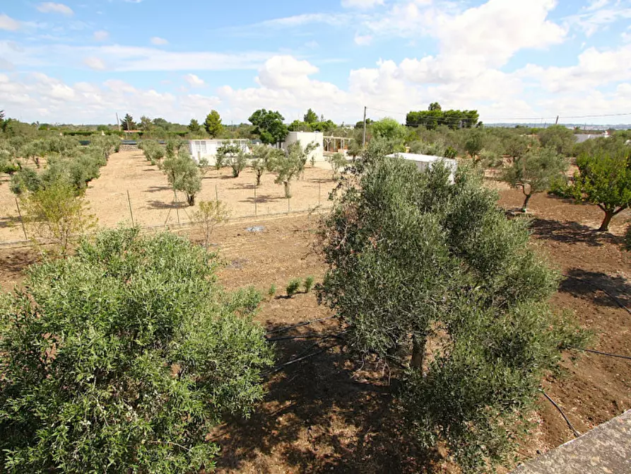 Immagine 21 di Casa indipendente in vendita  in 73014 Gallipoli LE, Italia a Gallipoli