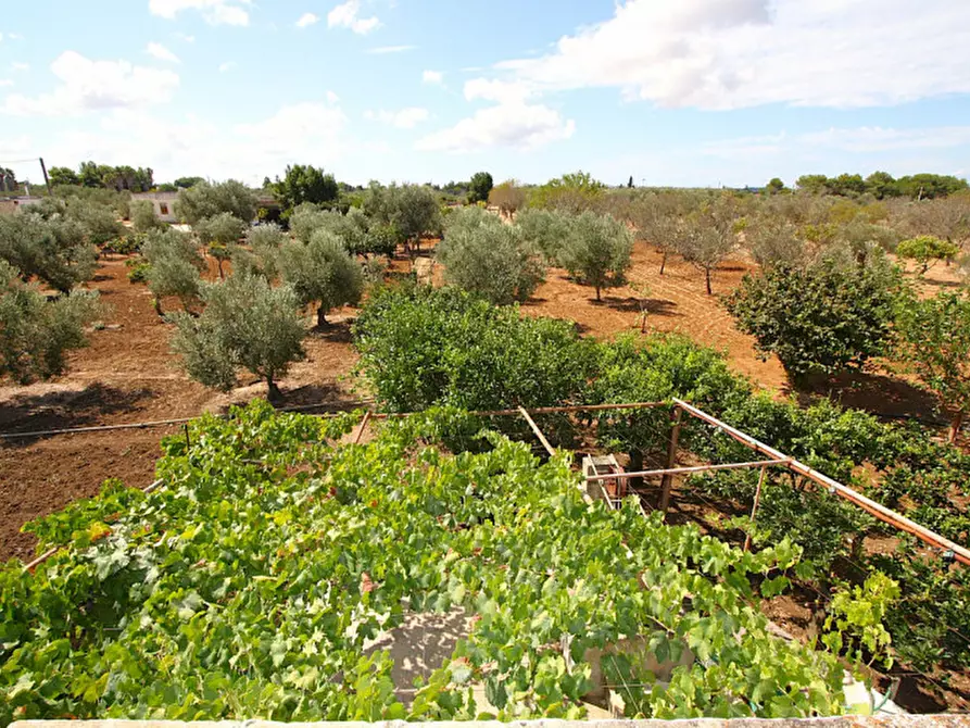 Immagine 22 di Casa indipendente in vendita  in 73014 Gallipoli LE, Italia a Gallipoli