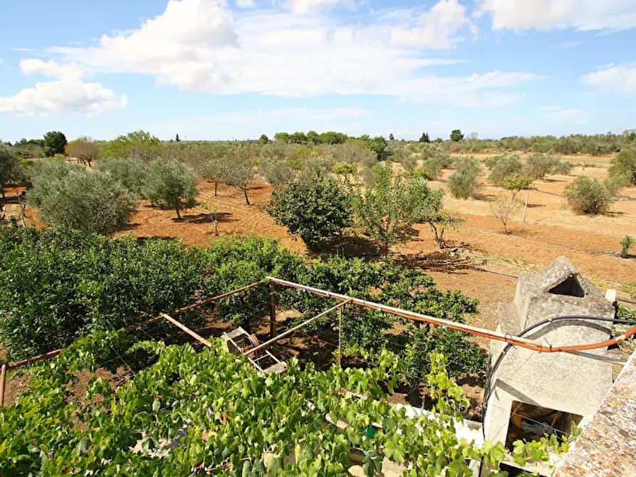 Immagine 23 di Casa indipendente in vendita  in 73014 Gallipoli LE, Italia a Gallipoli