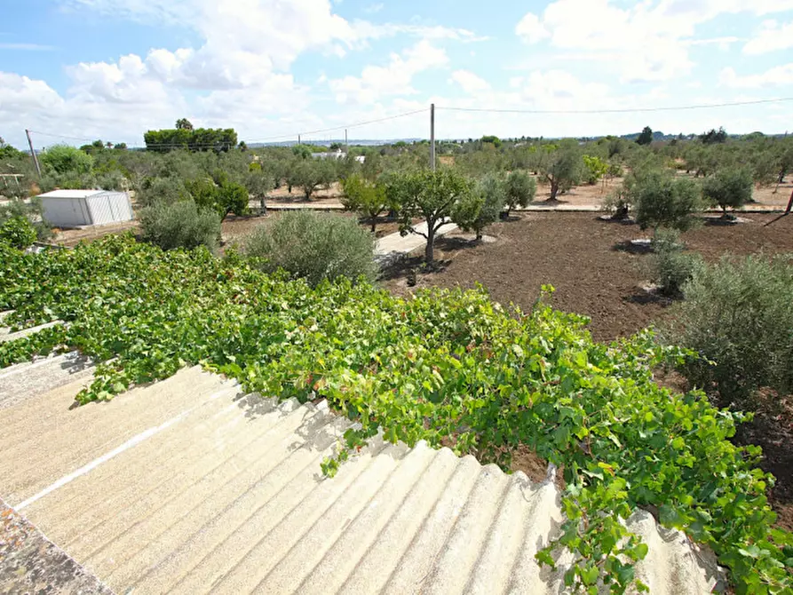 Immagine 24 di Casa indipendente in vendita  in 73014 Gallipoli LE, Italia a Gallipoli