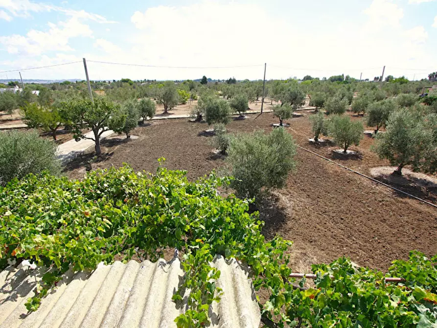 Immagine 25 di Casa indipendente in vendita  in 73014 Gallipoli LE, Italia a Gallipoli