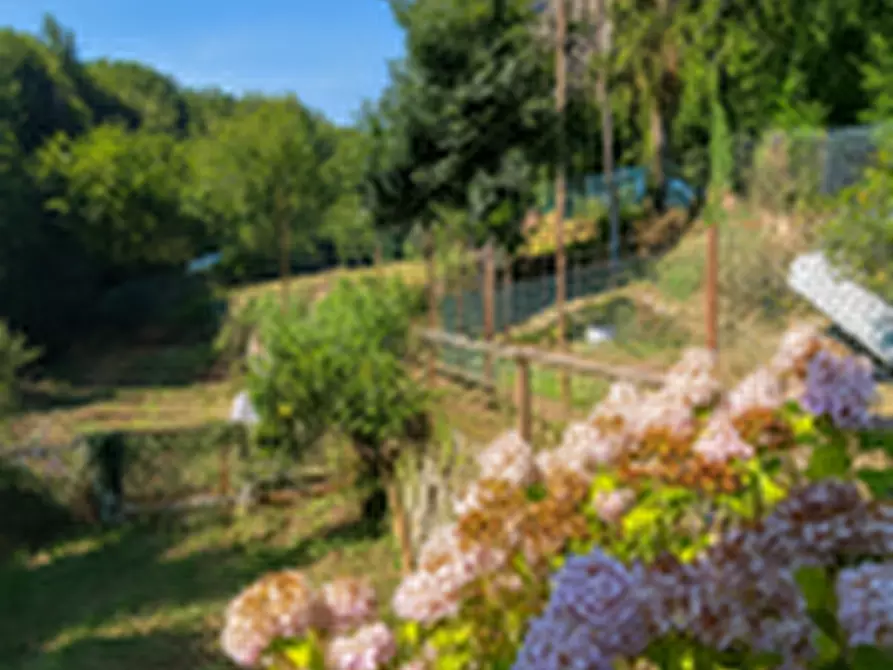 Immagine 11 di Casa bifamiliare in vendita  in Via di Bana a Camogli