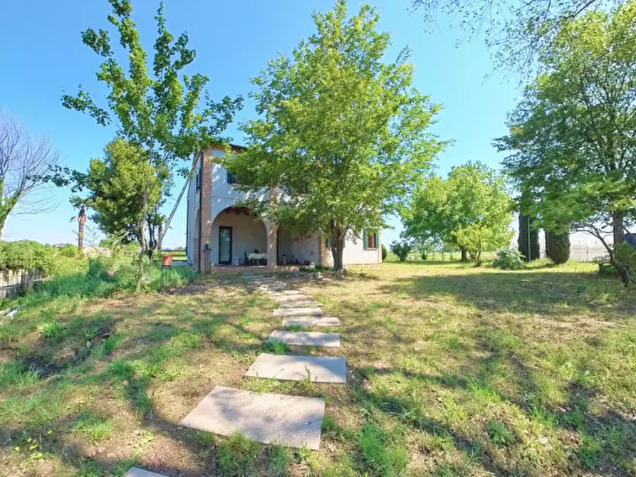 Immagine 1 di Casa indipendente in vendita  in Via Canton a Montagnana