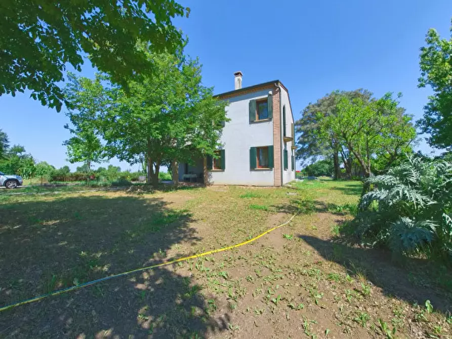 Immagine 2 di Casa indipendente in vendita  in Via Canton a Montagnana