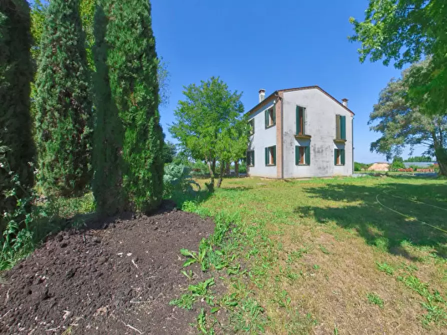 Immagine 3 di Casa indipendente in vendita  in Via Canton a Montagnana