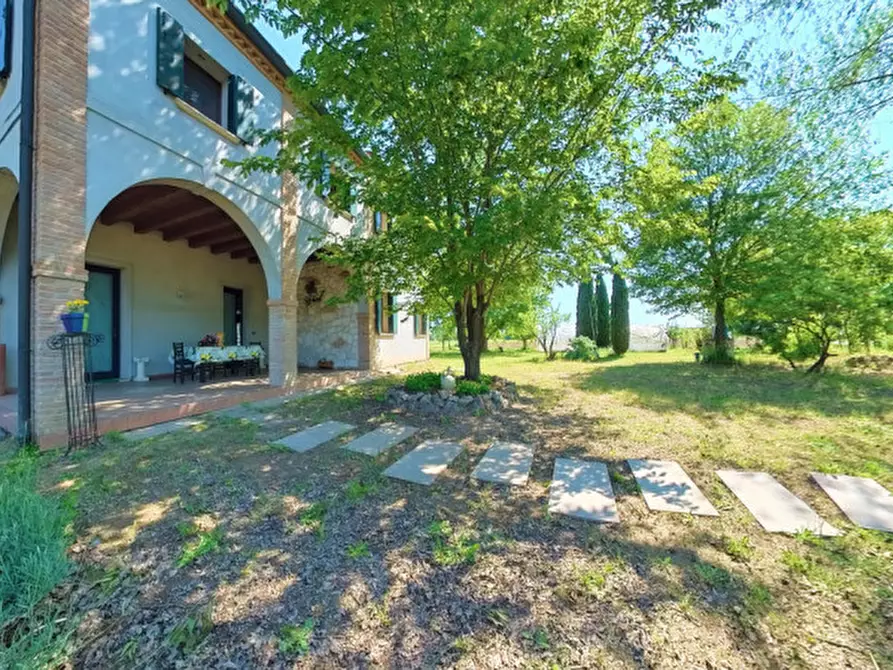 Immagine 4 di Casa indipendente in vendita  in Via Canton a Montagnana