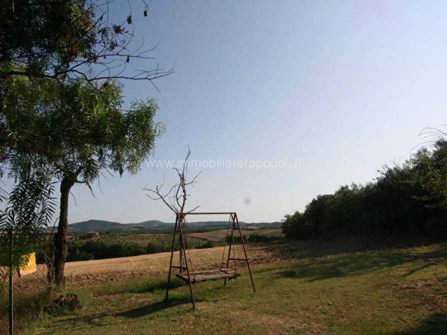 Immagine 2 di Rustico / casale in vendita  a Pienza
