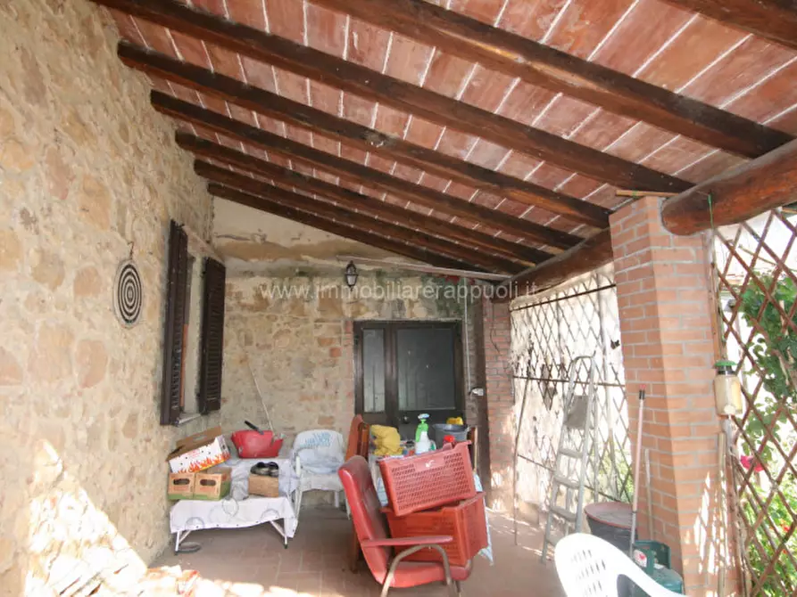 Immagine 3 di Rustico / casale in vendita  a Pienza