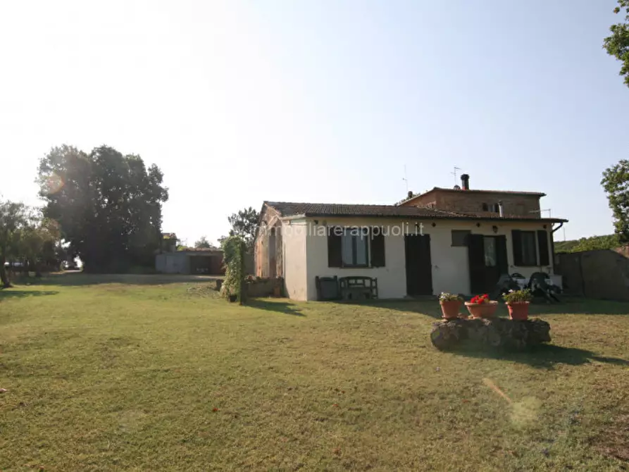 Immagine 4 di Rustico / casale in vendita  a Pienza