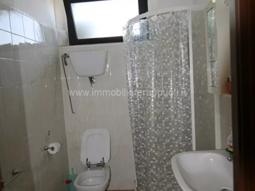 Immagine 7 di Rustico / casale in vendita  a Pienza