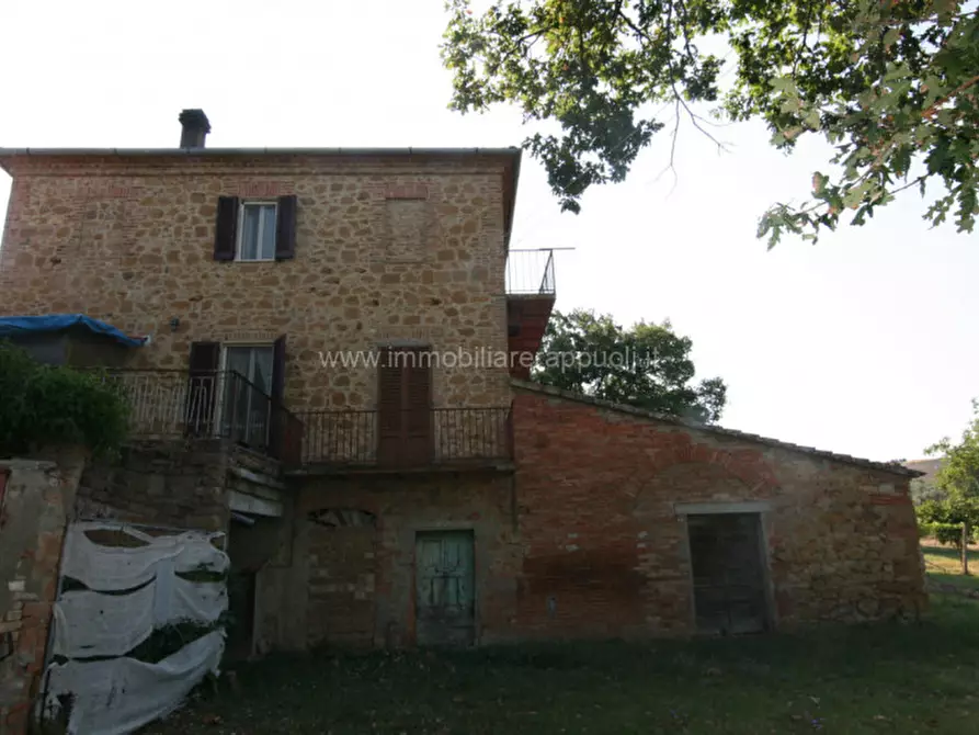 Immagine 11 di Rustico / casale in vendita  a Pienza