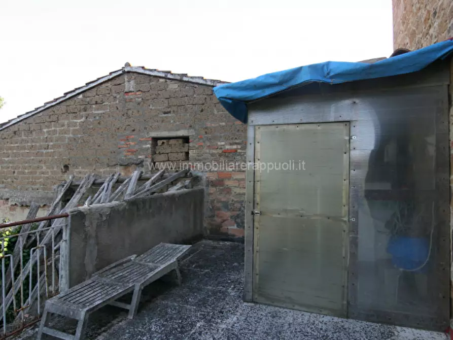 Immagine 14 di Rustico / casale in vendita  a Pienza