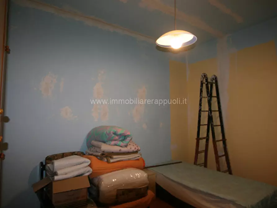 Immagine 21 di Rustico / casale in vendita  a Pienza