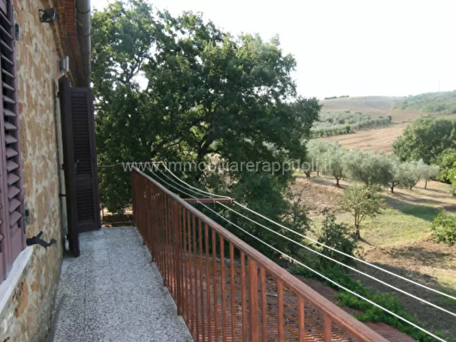 Immagine 23 di Rustico / casale in vendita  a Pienza