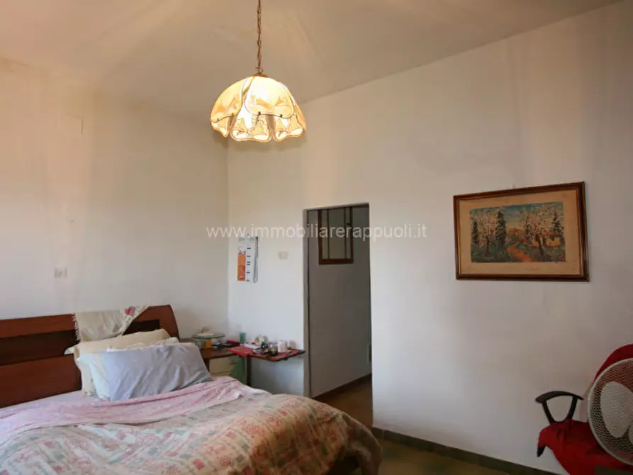 Immagine 27 di Rustico / casale in vendita  a Pienza