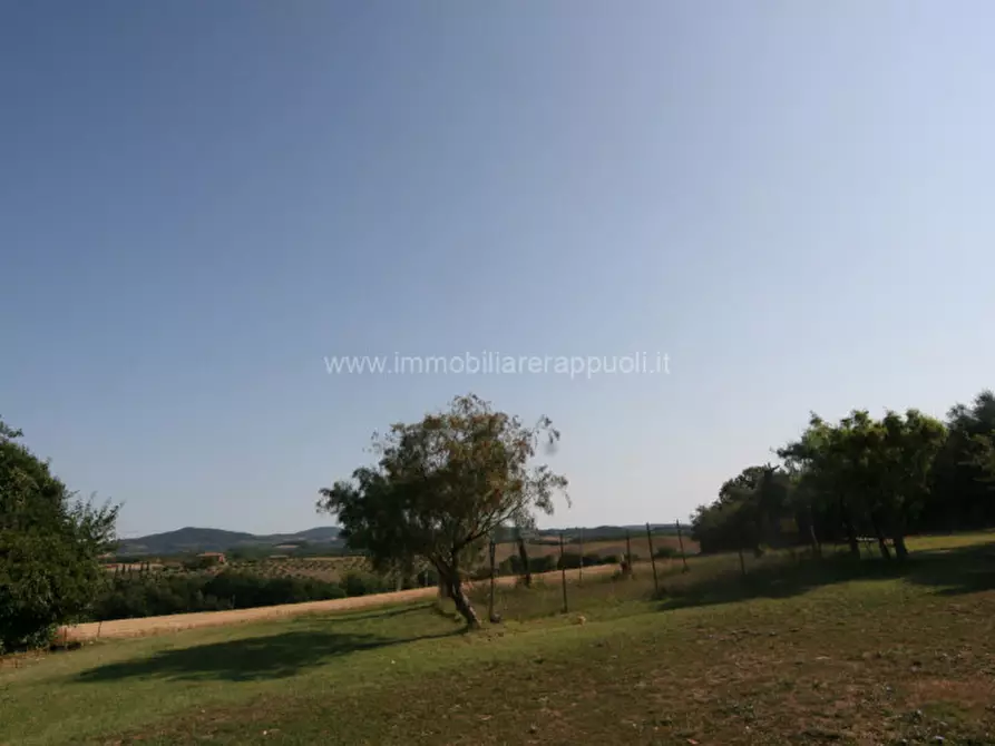 Immagine 30 di Rustico / casale in vendita  a Pienza