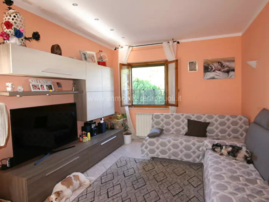 Immagine 6 di Appartamento in vendita  a Sinalunga