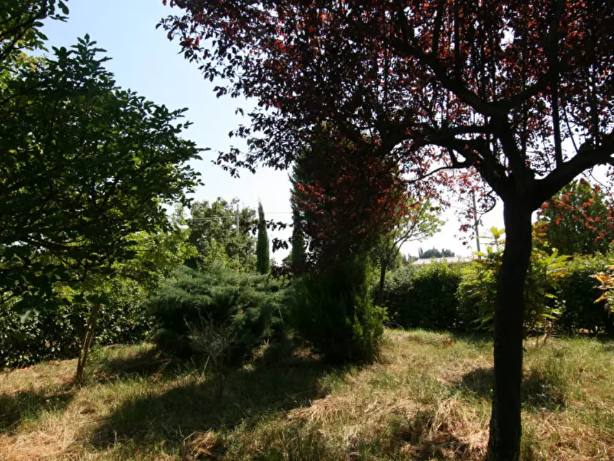 Immagine 34 di Appartamento in vendita  a Sinalunga