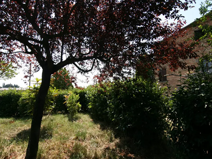 Immagine 35 di Appartamento in vendita  a Sinalunga