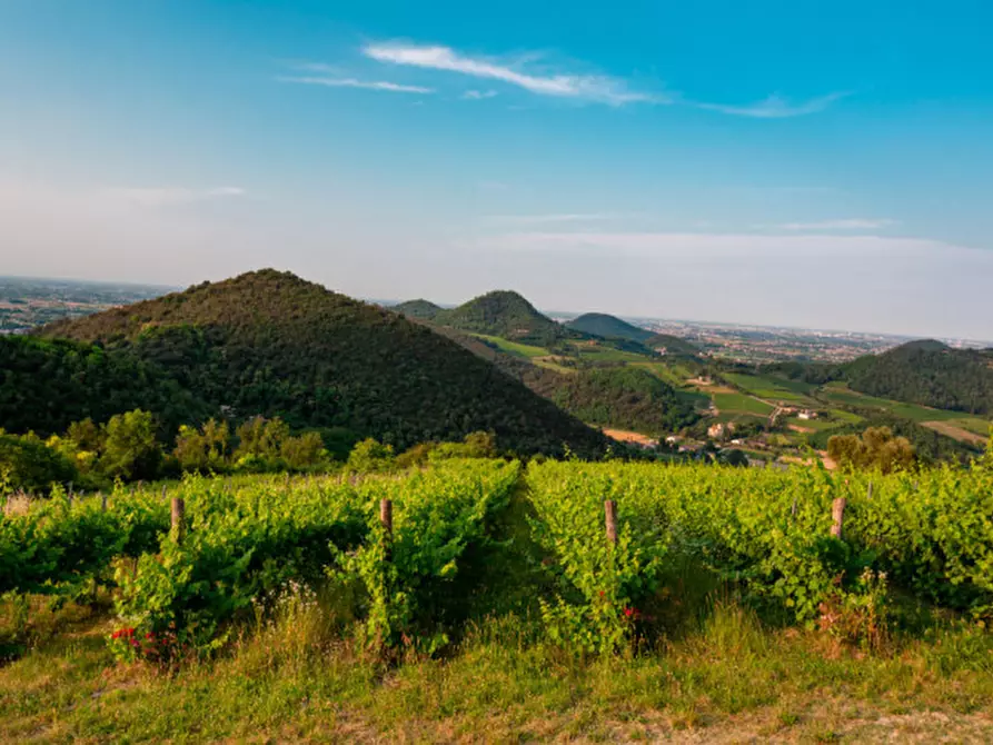 Immagine 1 di Terreno in vendita  in VIA FORNETTO a Teolo