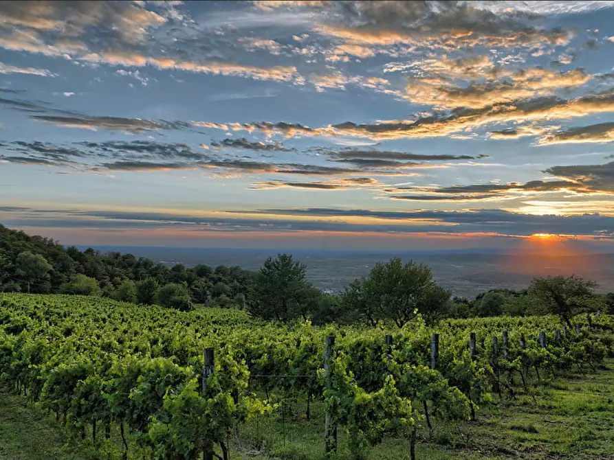 Immagine 2 di Terreno in vendita  in VIA FORNETTO a Teolo