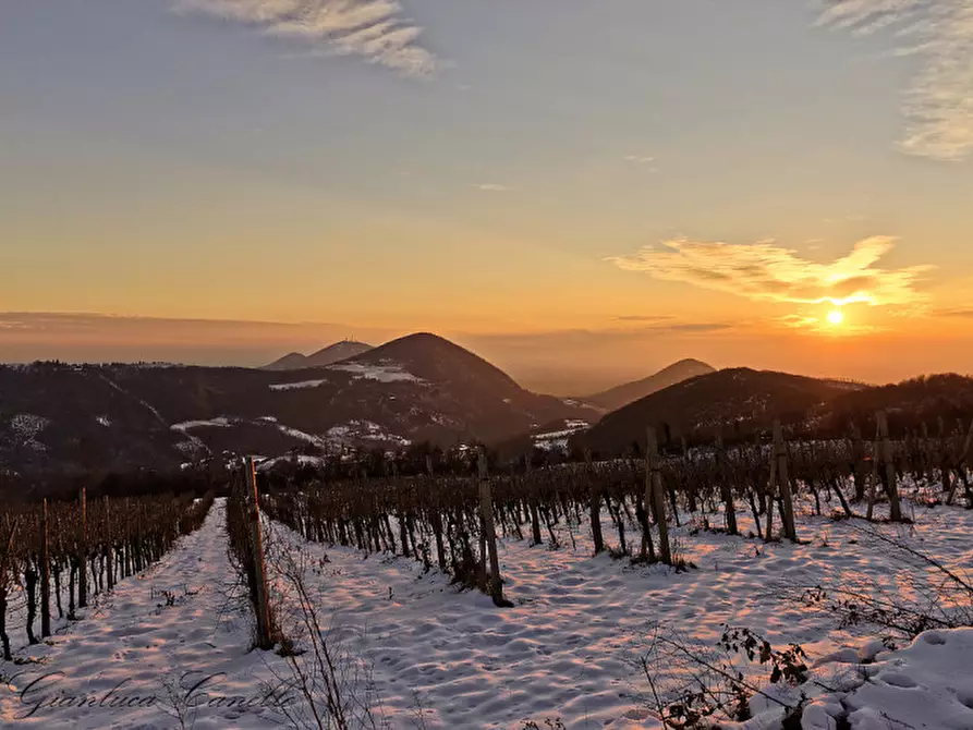 Immagine 3 di Terreno in vendita  in VIA FORNETTO a Teolo