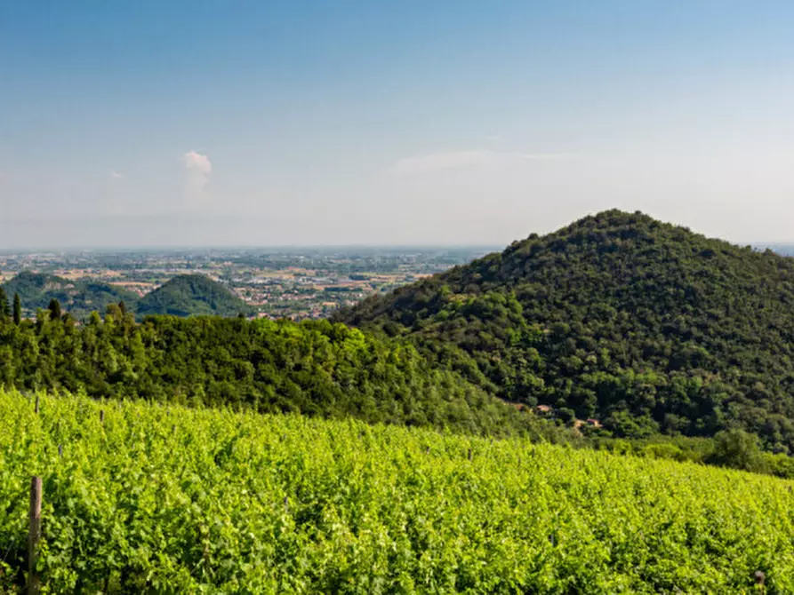 Immagine 7 di Terreno in vendita  in VIA FORNETTO a Teolo