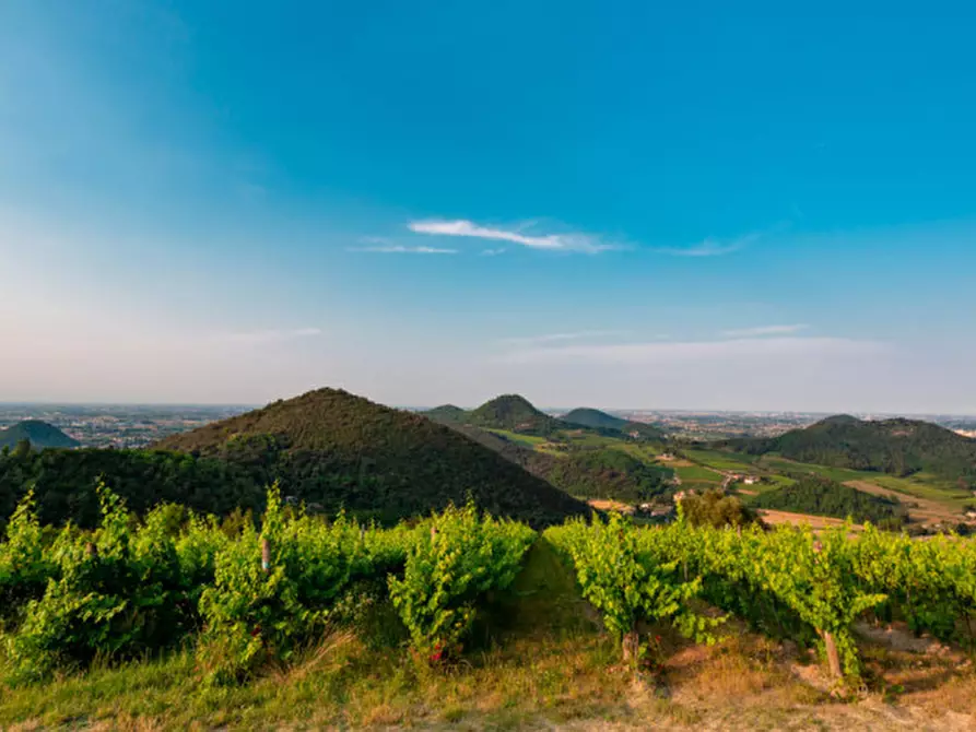 Immagine 9 di Terreno in vendita  in VIA FORNETTO a Teolo