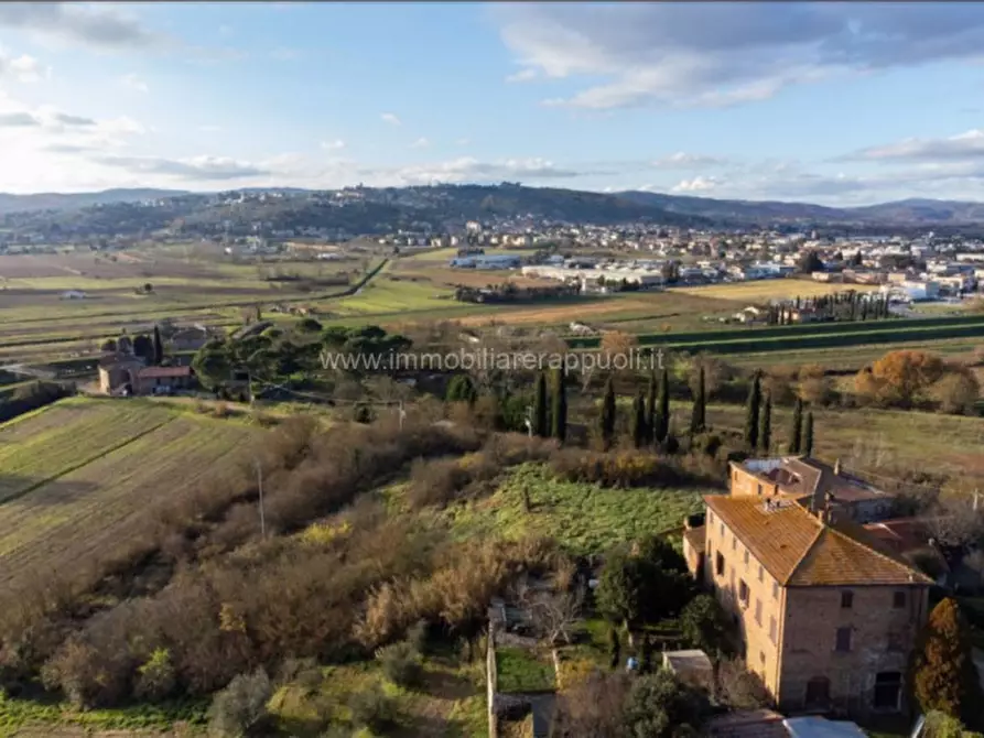 Immagine 3 di Villa in vendita  a Sinalunga