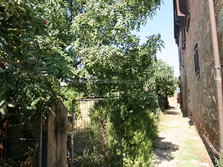 Immagine 64 di Villa in vendita  a Sinalunga