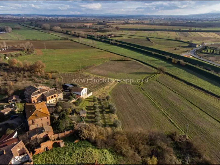 Immagine 4 di Villa in vendita  a Sinalunga