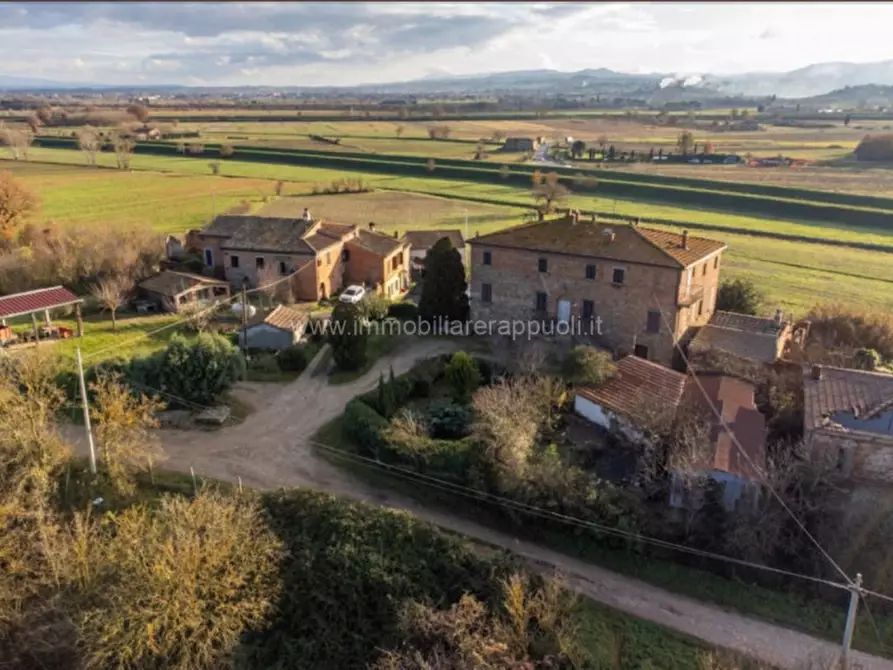 Immagine 6 di Villa in vendita  a Sinalunga