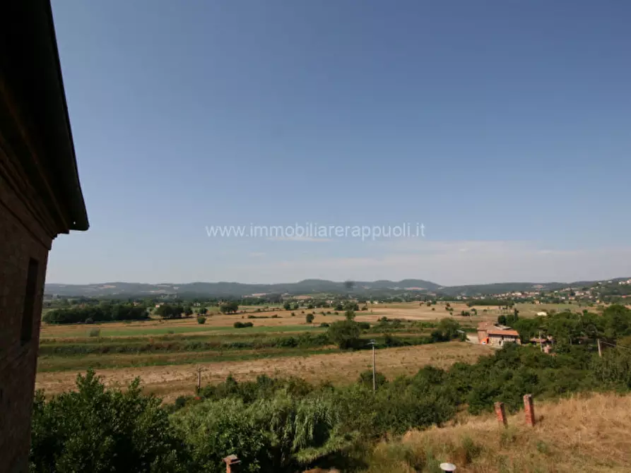 Immagine 13 di Villa in vendita  a Sinalunga