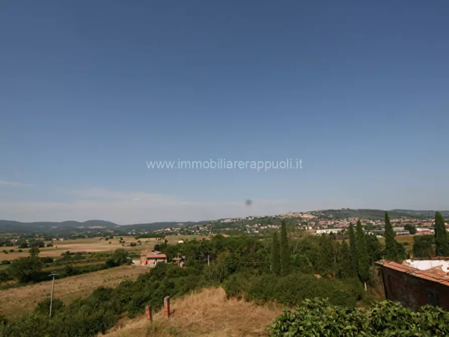 Immagine 14 di Villa in vendita  a Sinalunga