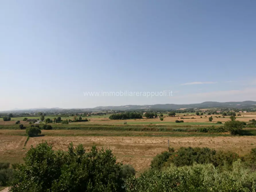 Immagine 19 di Villa in vendita  a Sinalunga