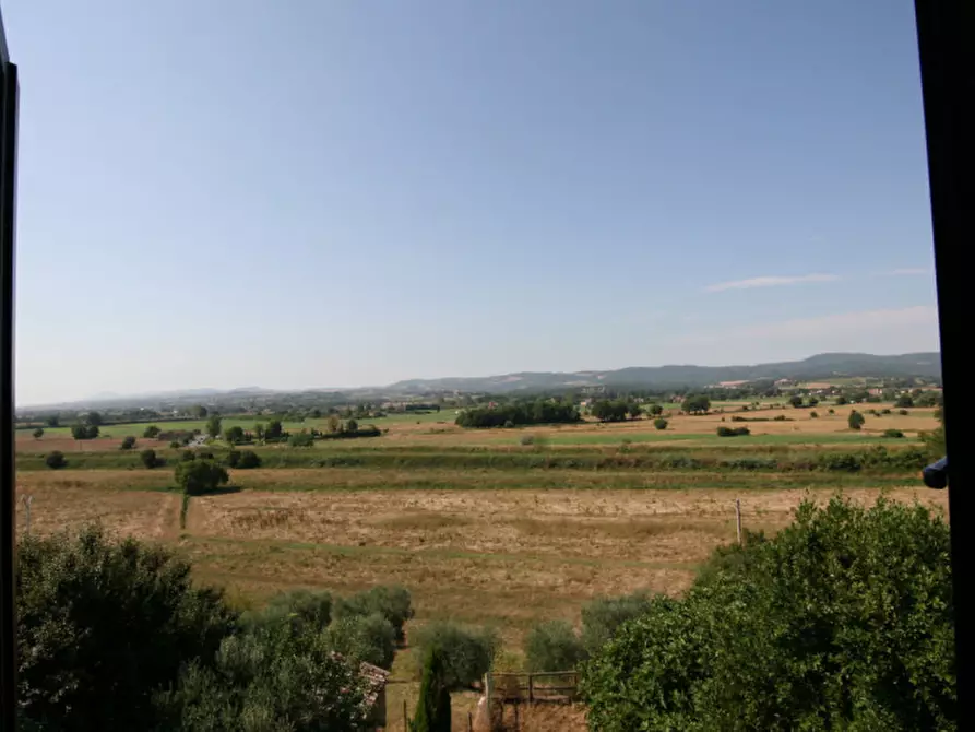 Immagine 19 di Villa in vendita  a Sinalunga