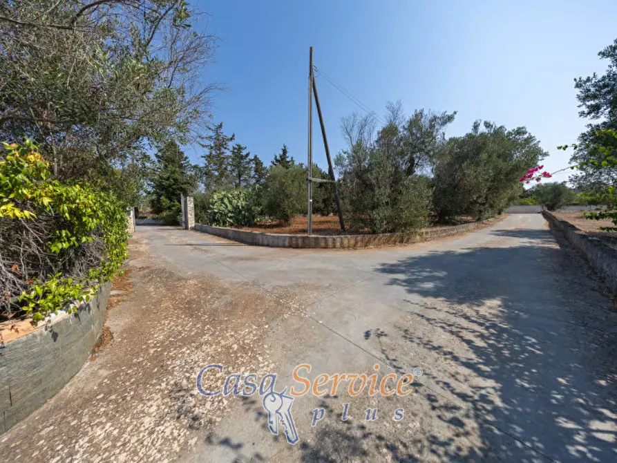 Immagine 5 di Casa indipendente in vendita  in Strada Vicinale Rischiazzi a Parabita