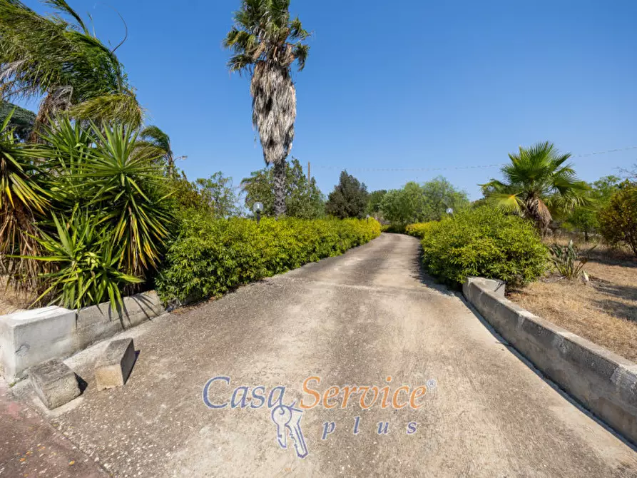 Immagine 10 di Casa indipendente in vendita  in Strada Vicinale Rischiazzi a Parabita