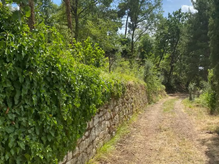 Immagine 71 di Villa in vendita  in Via Bologna a Castelfranco Piandiscò