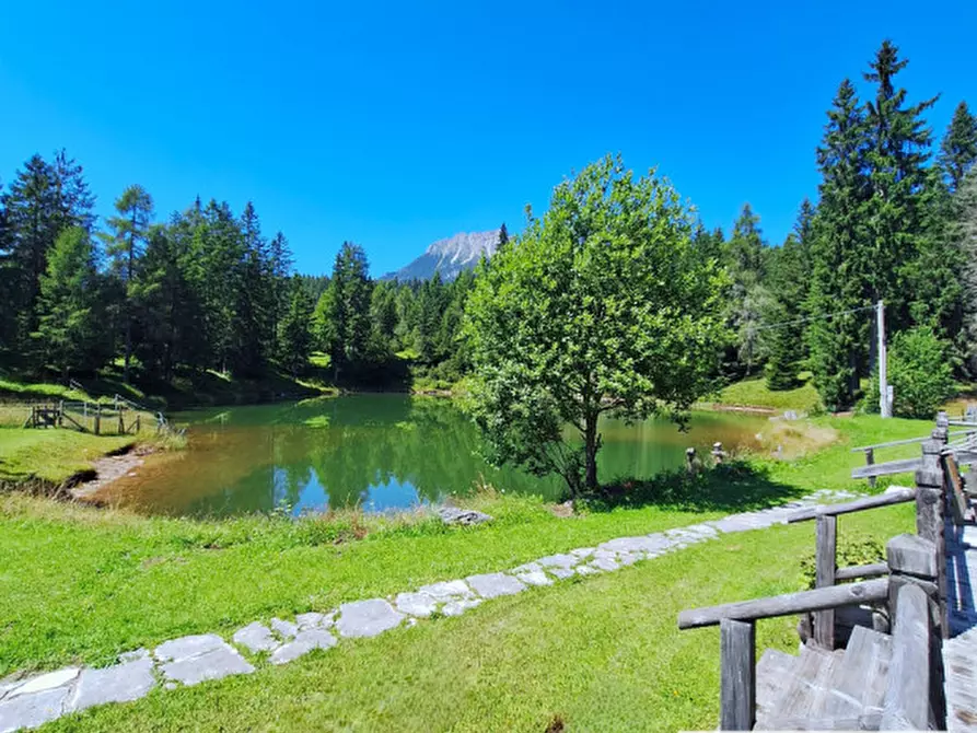 Immagine 7 di Villa in vendita  in Comelico Superiore a Comelico Superiore