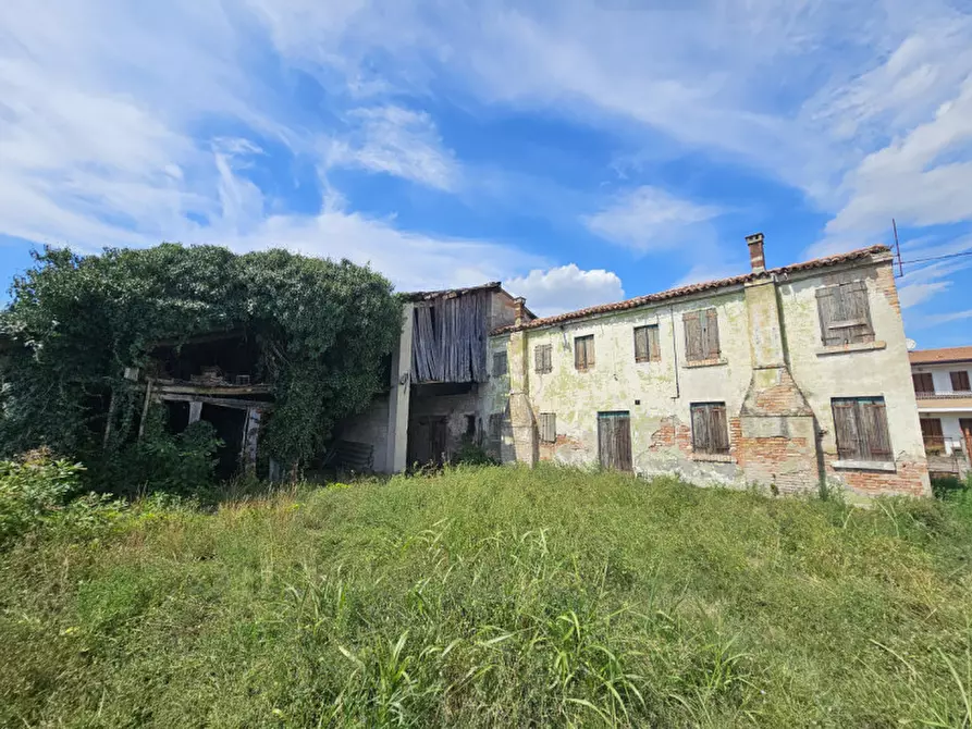 Immagine 3 di Terreno in vendita  in VIA BROGLIO a Solesino