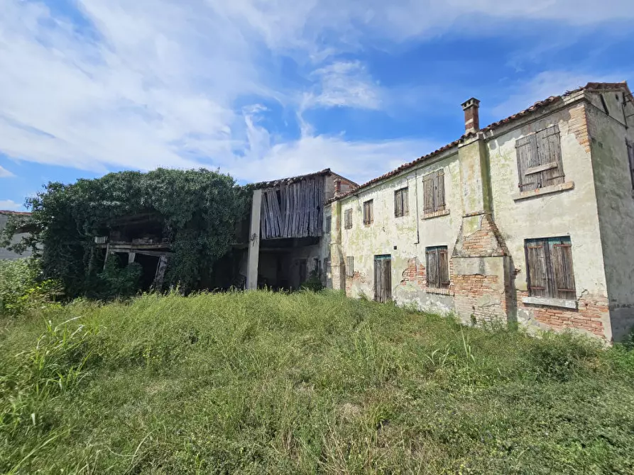 Immagine 4 di Terreno in vendita  in VIA BROGLIO a Solesino
